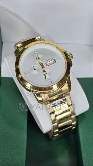 Citizen High Quality Mens Watches