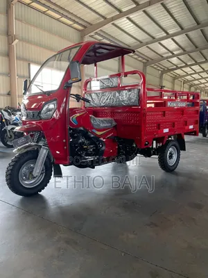 New Bajaj 2024