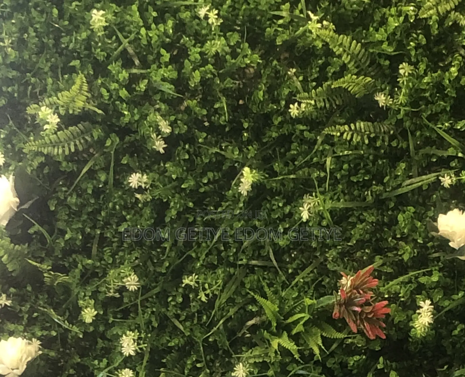 Apply for Sales and Telemarketing