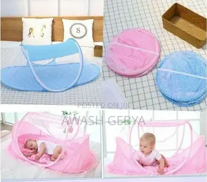 Photo - ከቢንቢ እና መሰል በራሪ ነፍሳት