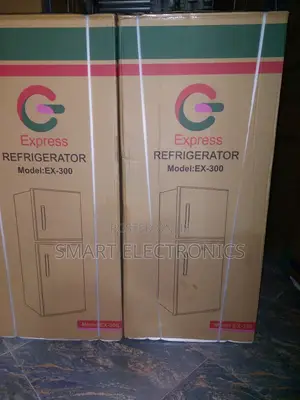 Express Refrigerator 300l