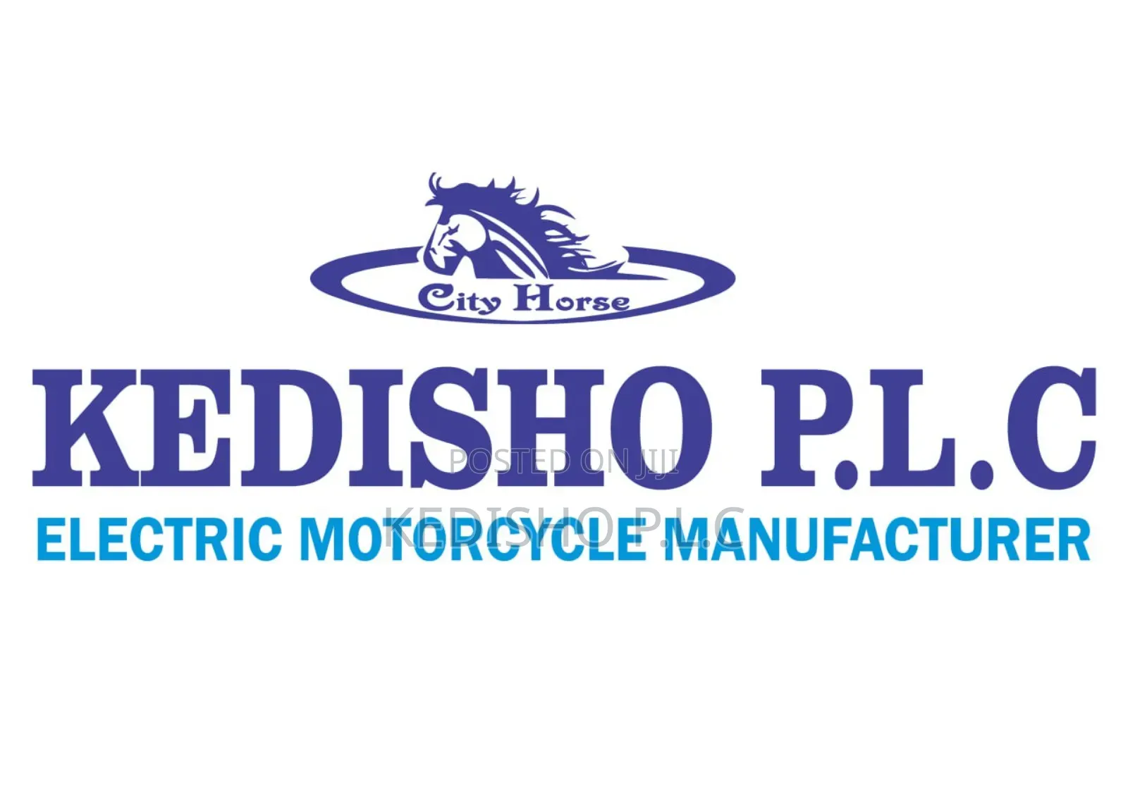 New Motorcycle 2024 Gray