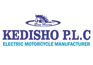 New Motorcycle 2024 Gray