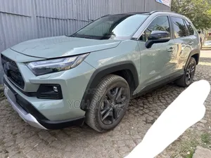 Toyota RAV4 2020 Blue