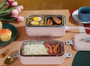 Electric Lunch Box