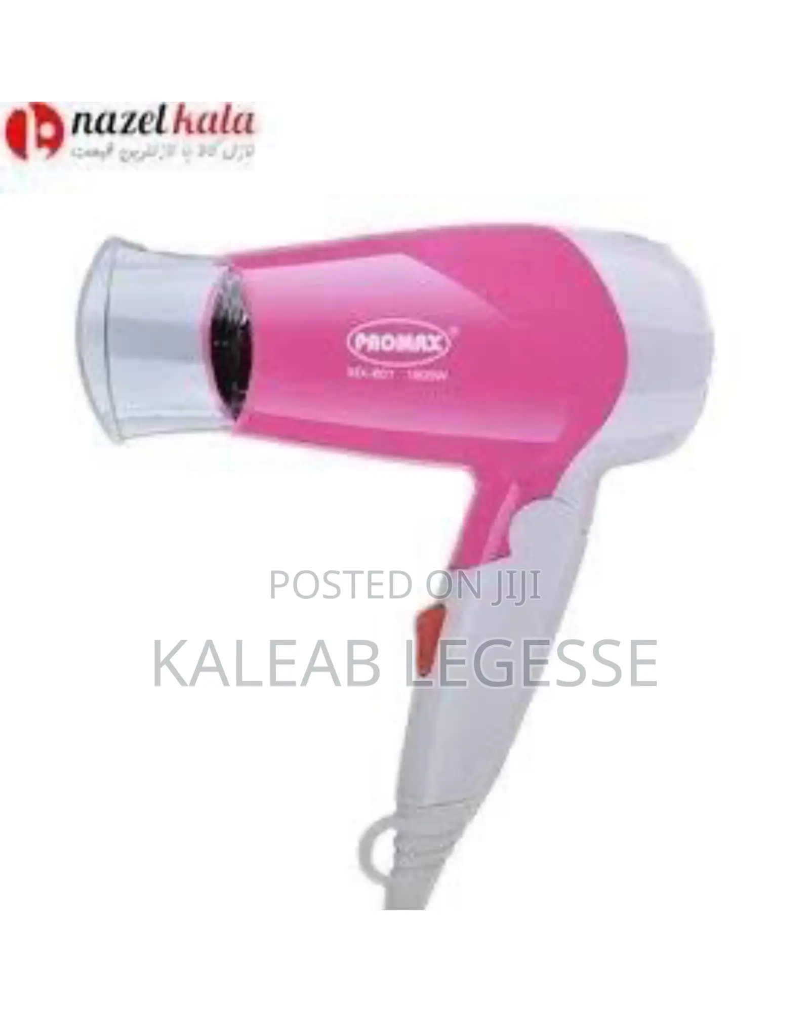 Promax Foldable Mini Hair Dryer