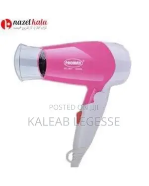 Promax Foldable Mini Hair Dryer
