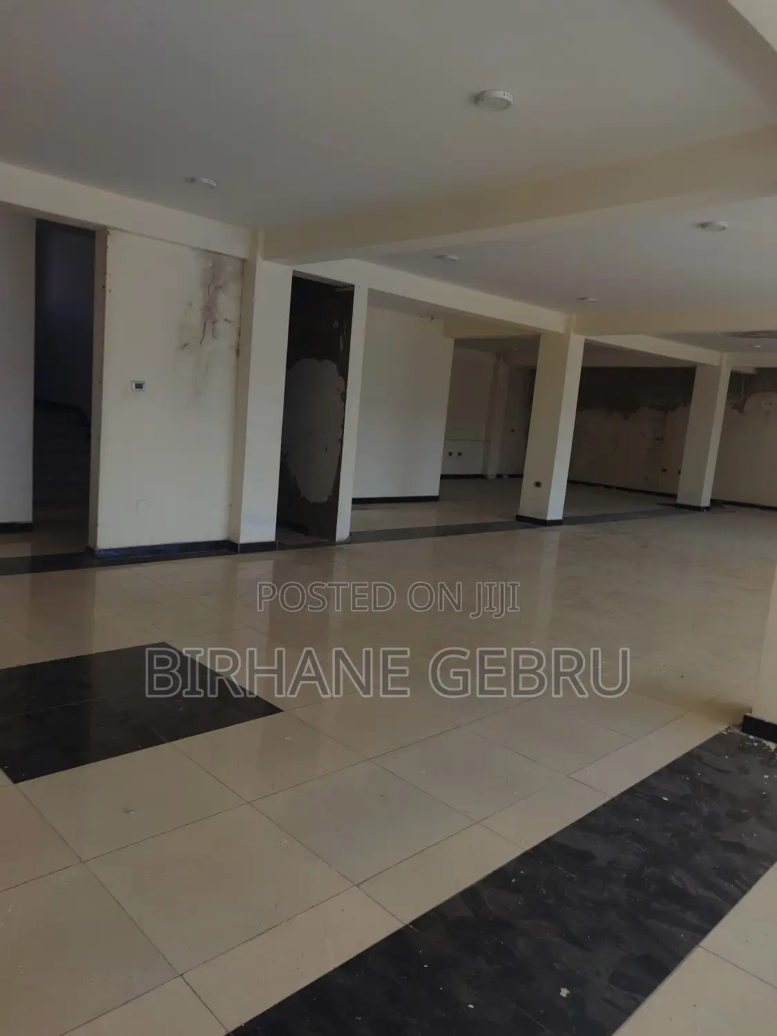 Lluxury Apartment Rent for Business