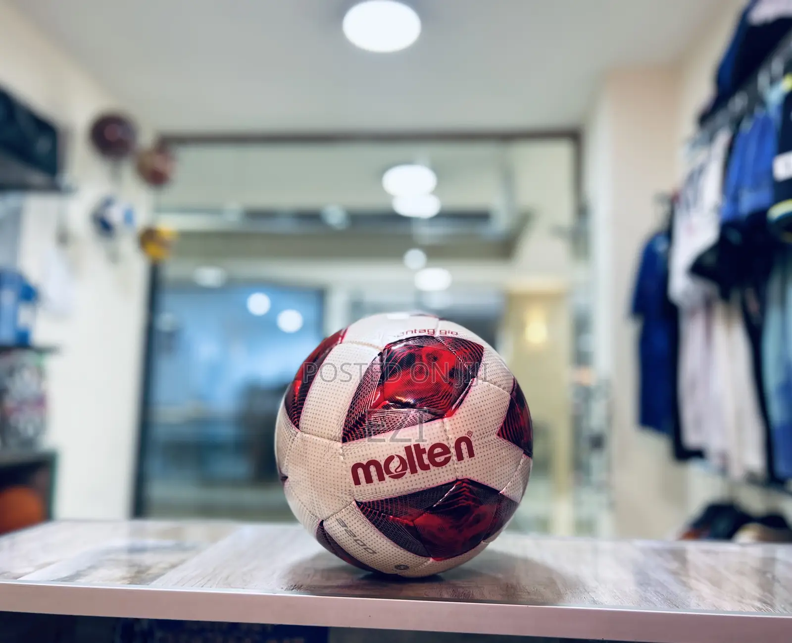 Molten All Weather Footballs