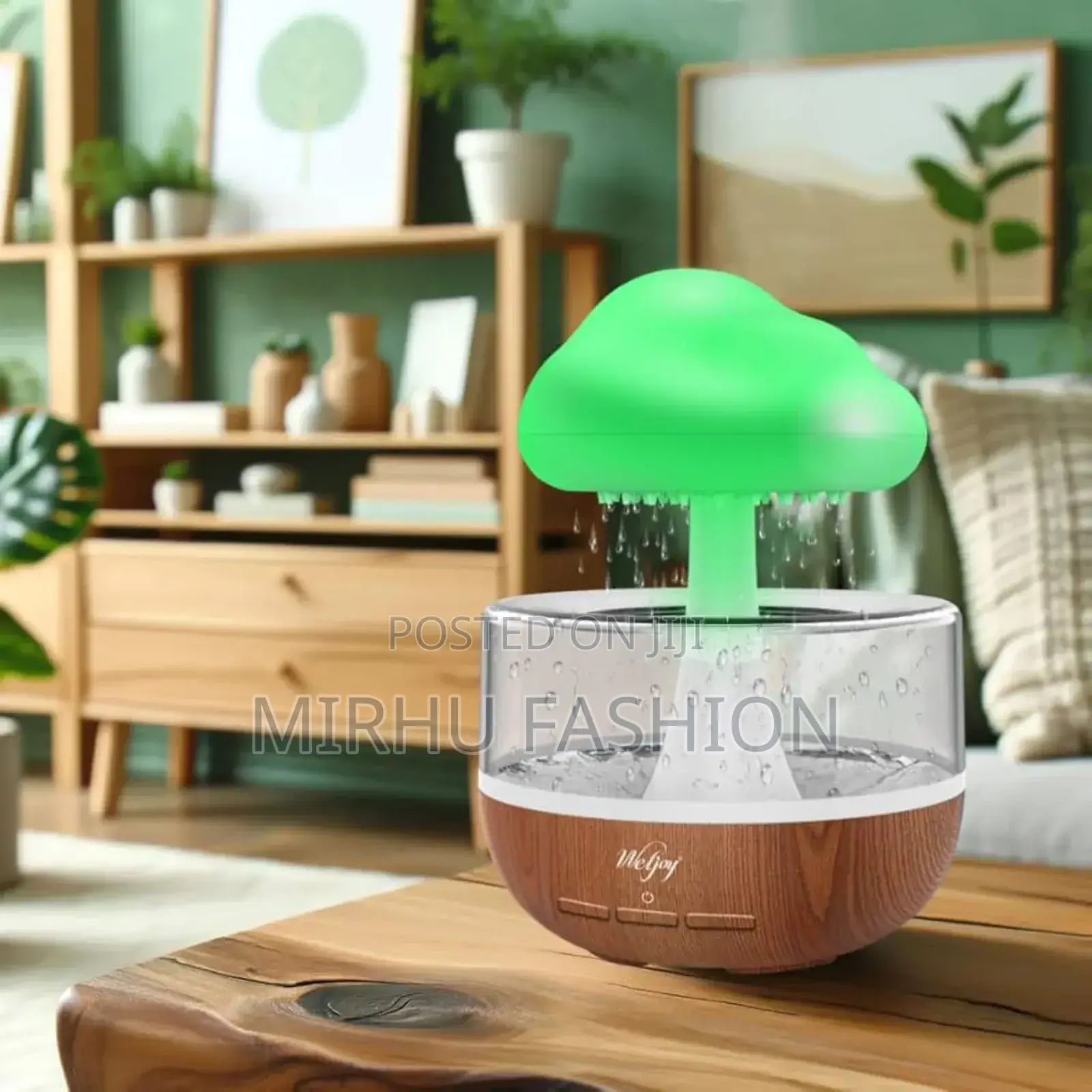 Rain Cloud Humidifier