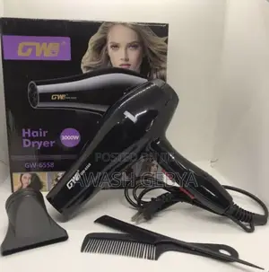 Hair Dryer 3000W
