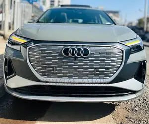 Photo - New Audi Quattro 2024 Gray