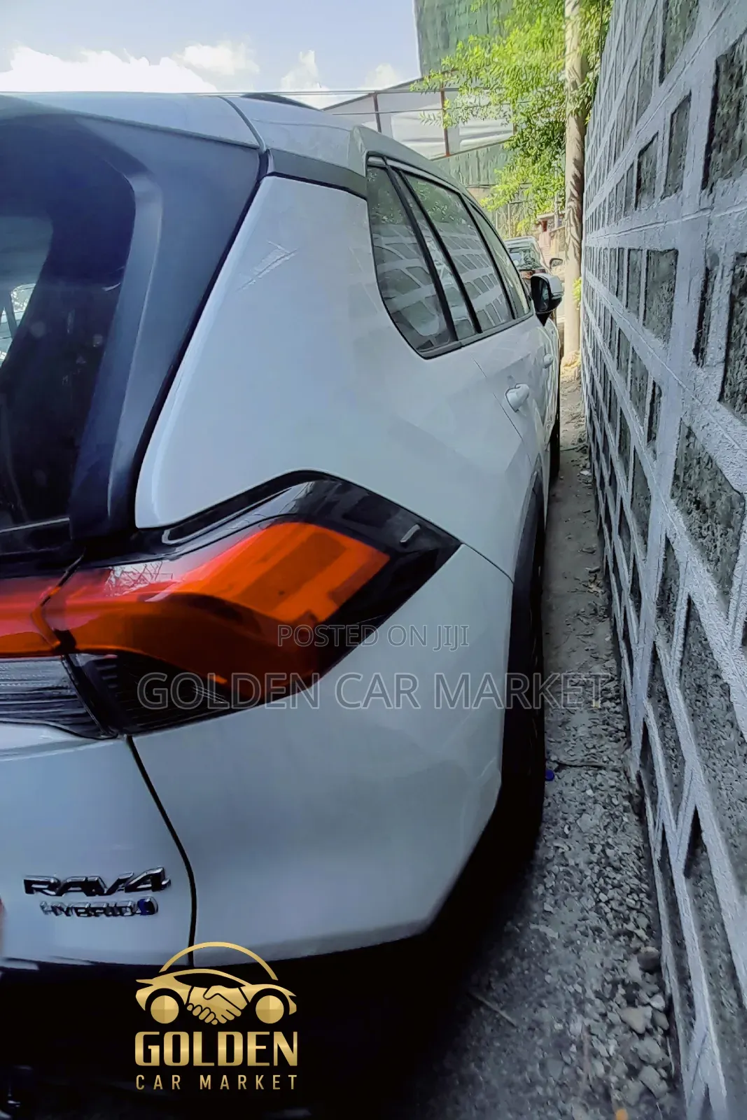 New Toyota RAV4 2024 White