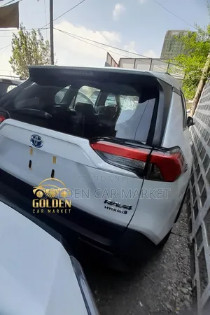 New Toyota RAV4 2024 White