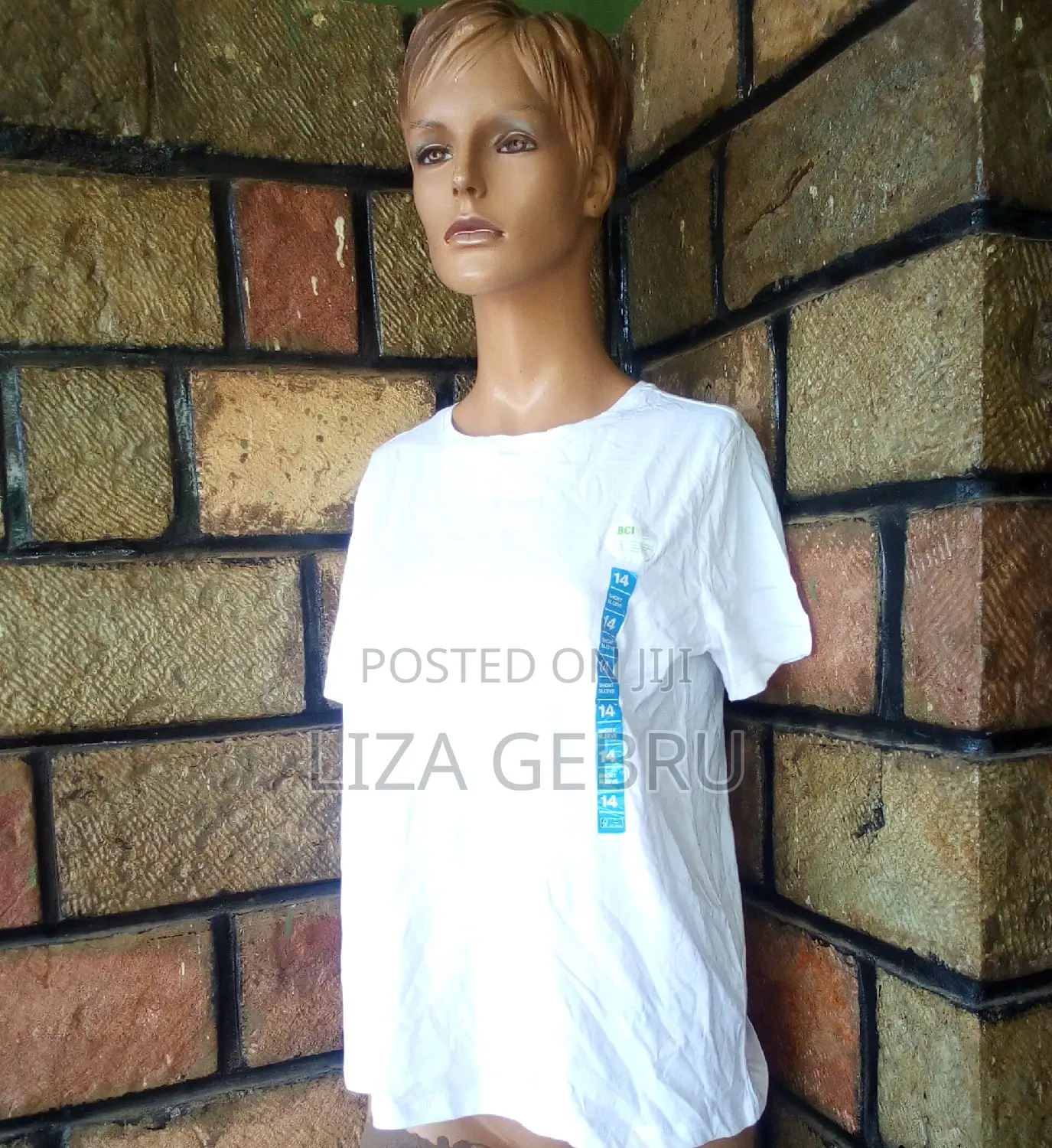 Brand New Australian Shirt. Size S,M,L