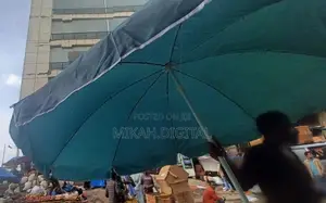 Green 2m Single Layer Umbrella for Cafe | Table Umbrella