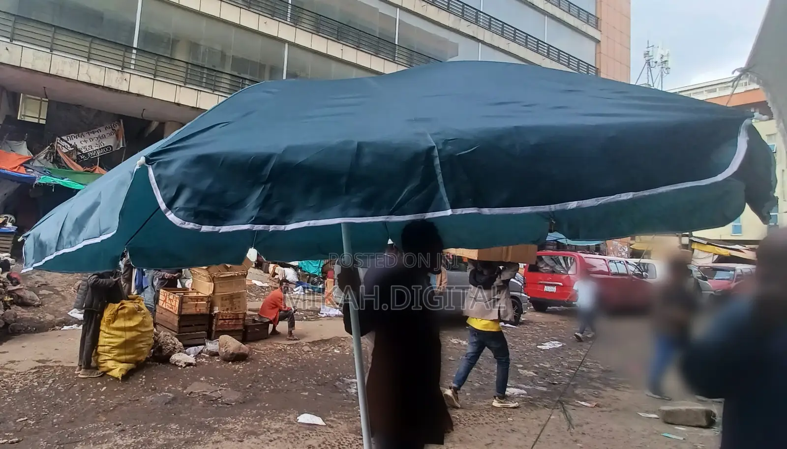 Green 2m Single Layer Umbrella for Cafe | Table Umbrella