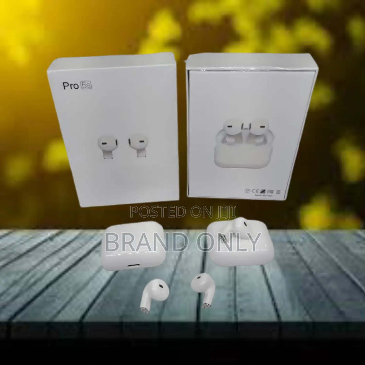 Pro 5S Earphone Immerses You in Music