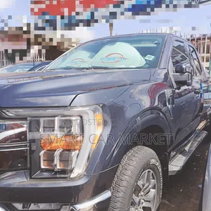 Ford F-150 2021 Gray