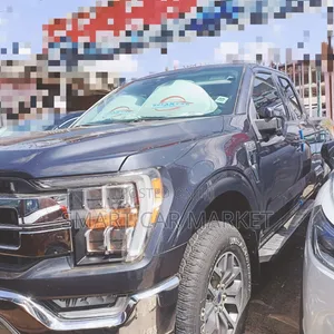 Ford F-150 2021 Gray