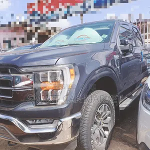 Ford F-150 2021 Gray