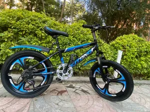 Almost New 20 Bike for Your Son