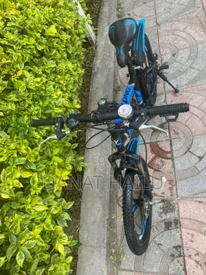 Almost New 20 Bike for Your Son