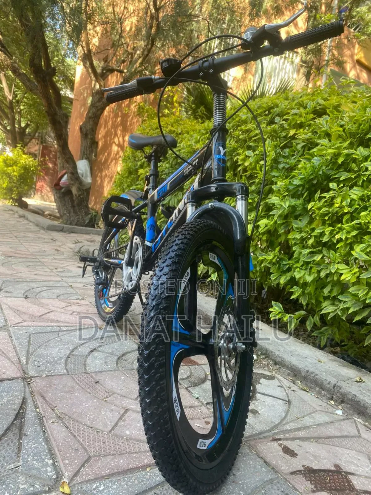 Almost New 20 Bike for Your Son