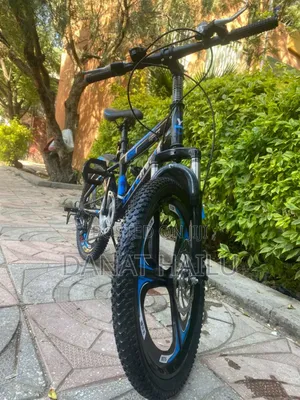 Almost New 20 Bike for Your Son