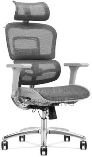 Photo - Office Manager Ergonomic Chair