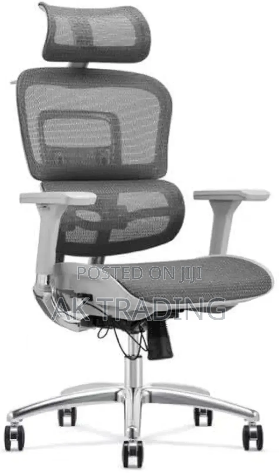 Office Manager Ergonomic Chair