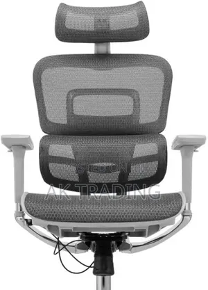 Office Manager Ergonomic Chair