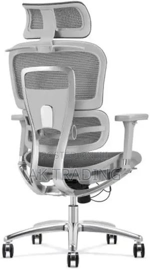 Office Manager Ergonomic Chair