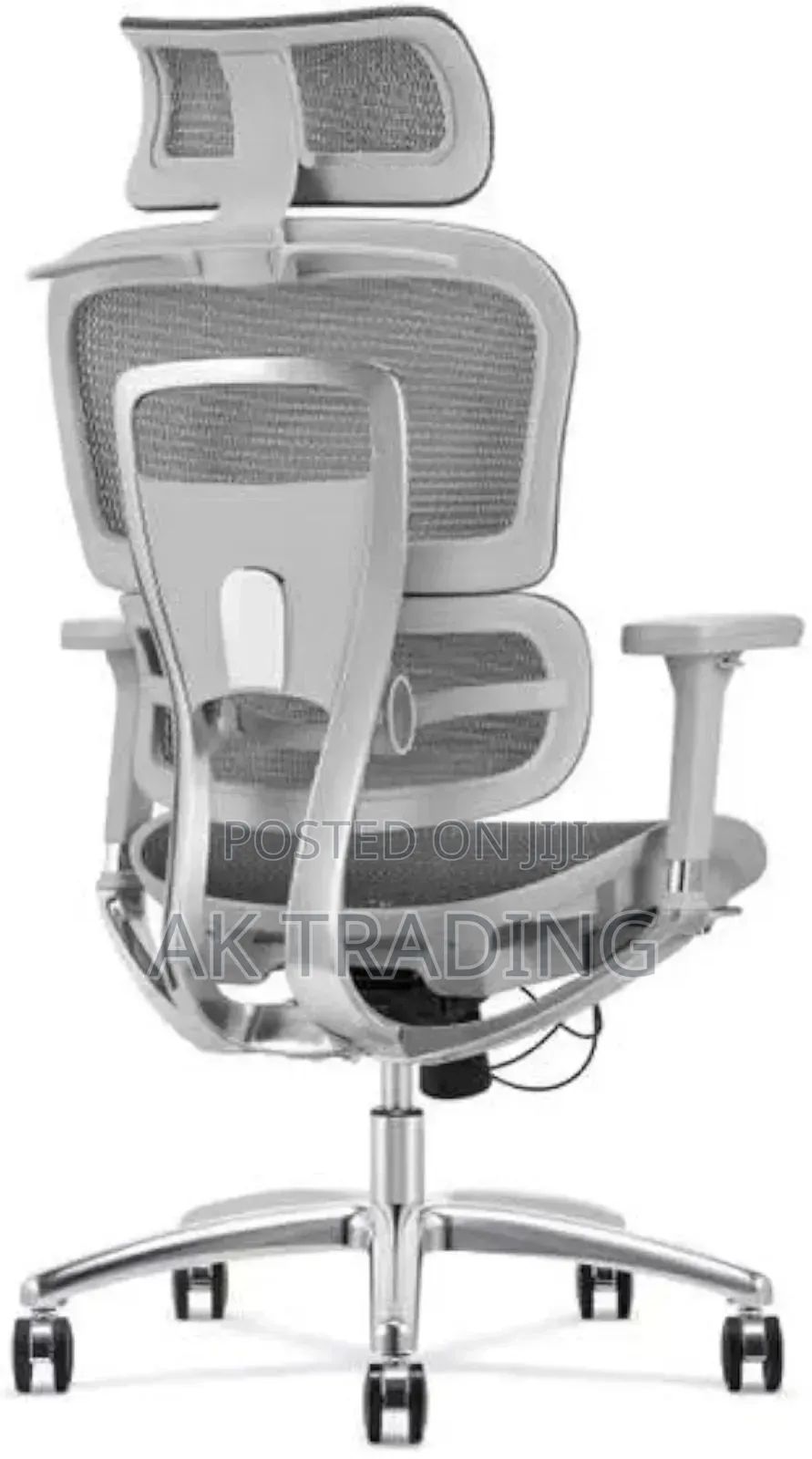 Office Manager Ergonomic Chair