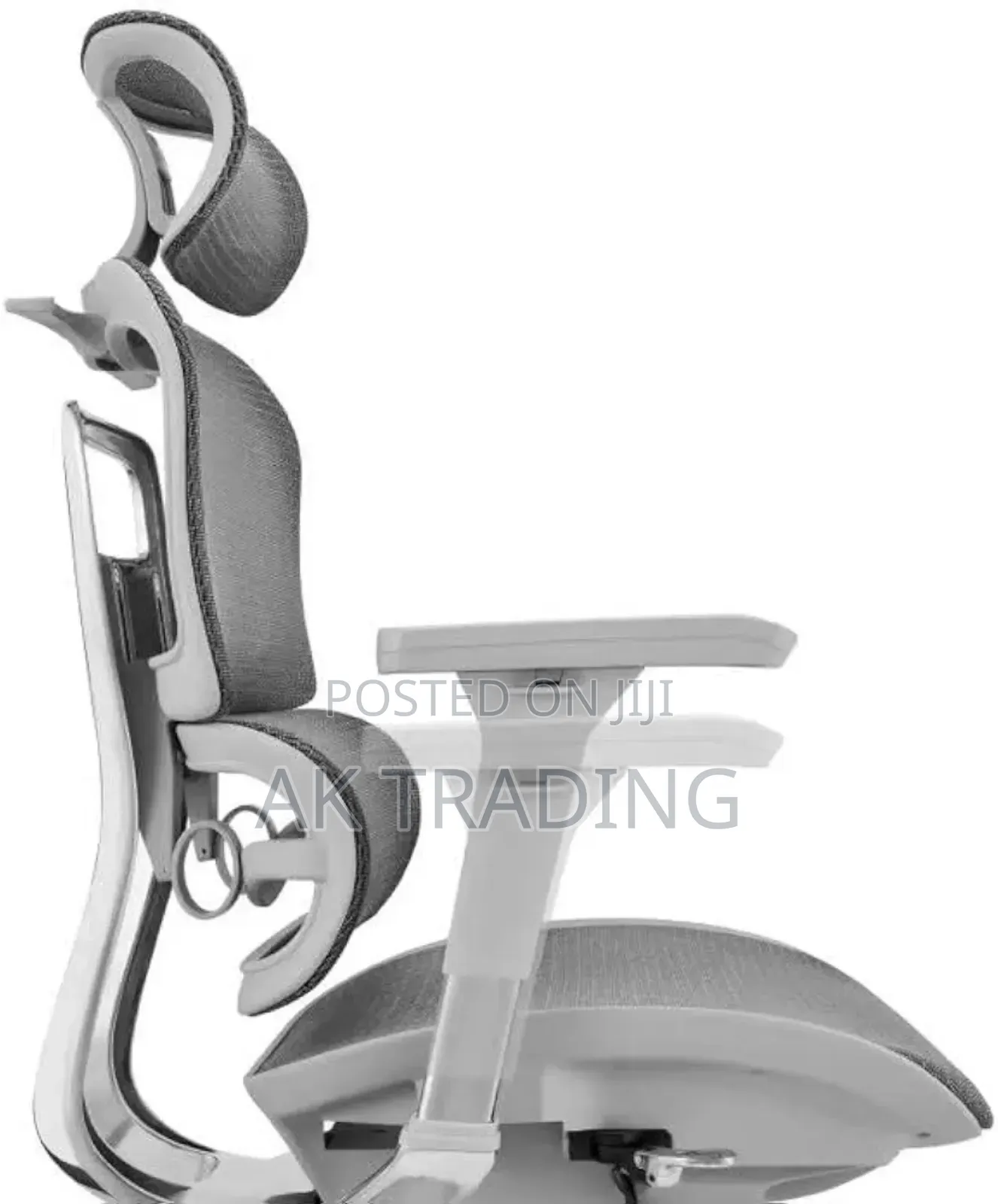 Office Manager Ergonomic Chair