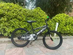 Great Biycle for Your Son