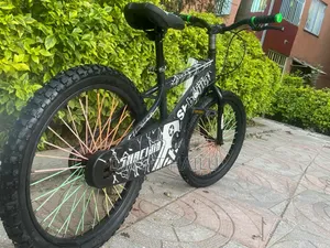 Photo - Great Biycle for Your Son