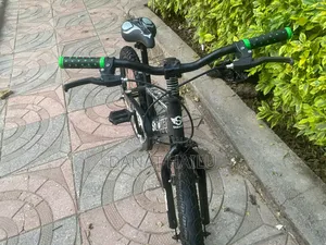 Great Biycle for Your Son