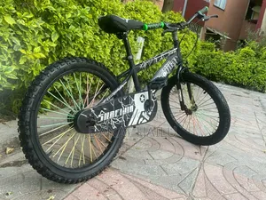 Great Biycle for Your Son