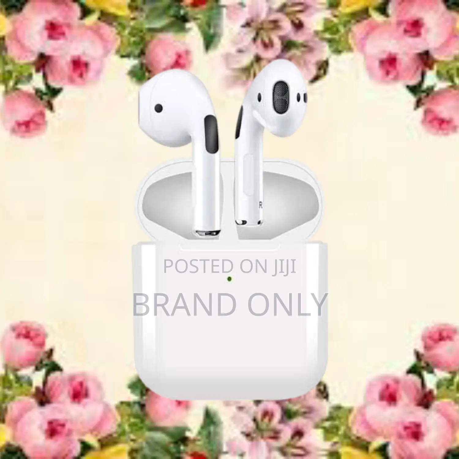 Pro 5 Earphone: Precision Sound for Professionals