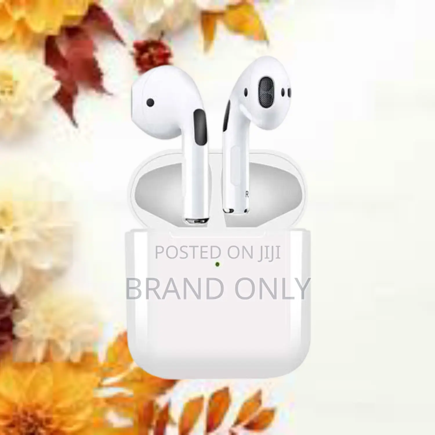 Pro 5 Earphone: Feel the Music Vibe