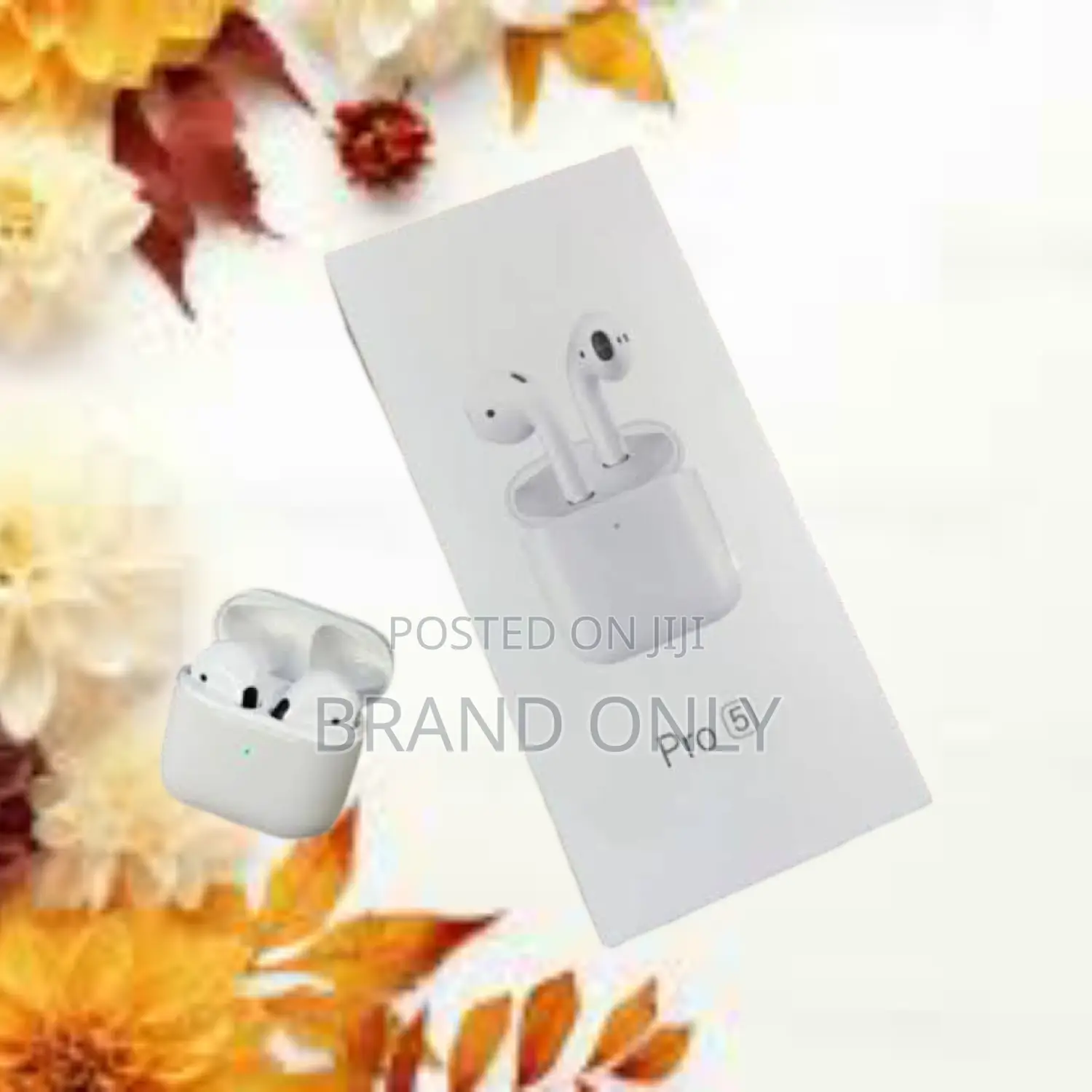 Pro 5 Earphone: Feel the Music Vibe