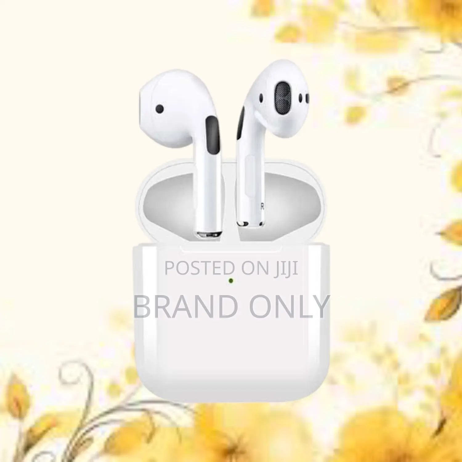 Pro 5 Earphone: The Perfect Audio Companion