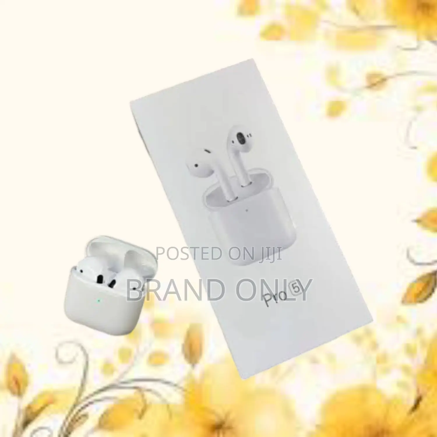 Pro 5 Earphone: The Perfect Audio Companion