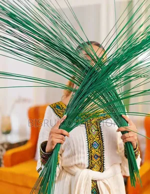 Photo - Artificial Sar(Ketema)