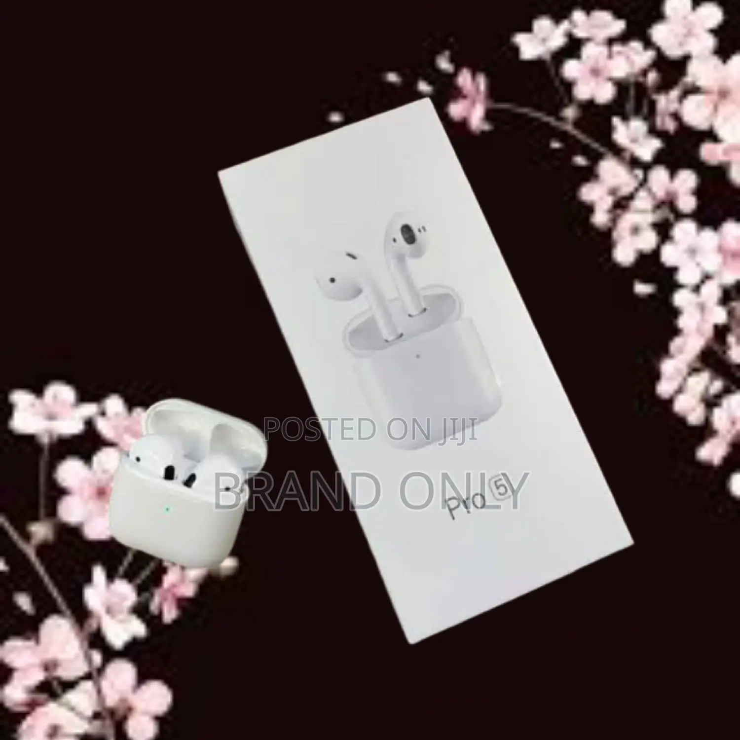 Pro 5 Earphone: Unleash the Sonic Adventure