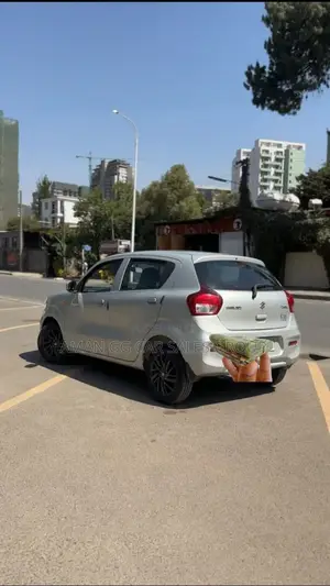 Suzuki Celerio 2019 Silver