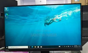 Lenovo Thinkvision 28" Inch