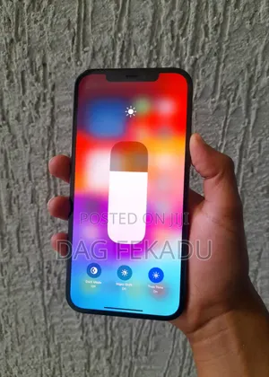 Apple iPhone 12 Pro Max 256 GB Blue