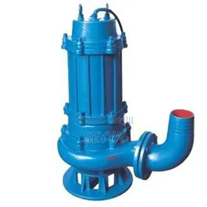 Photo - Dewatering Pump